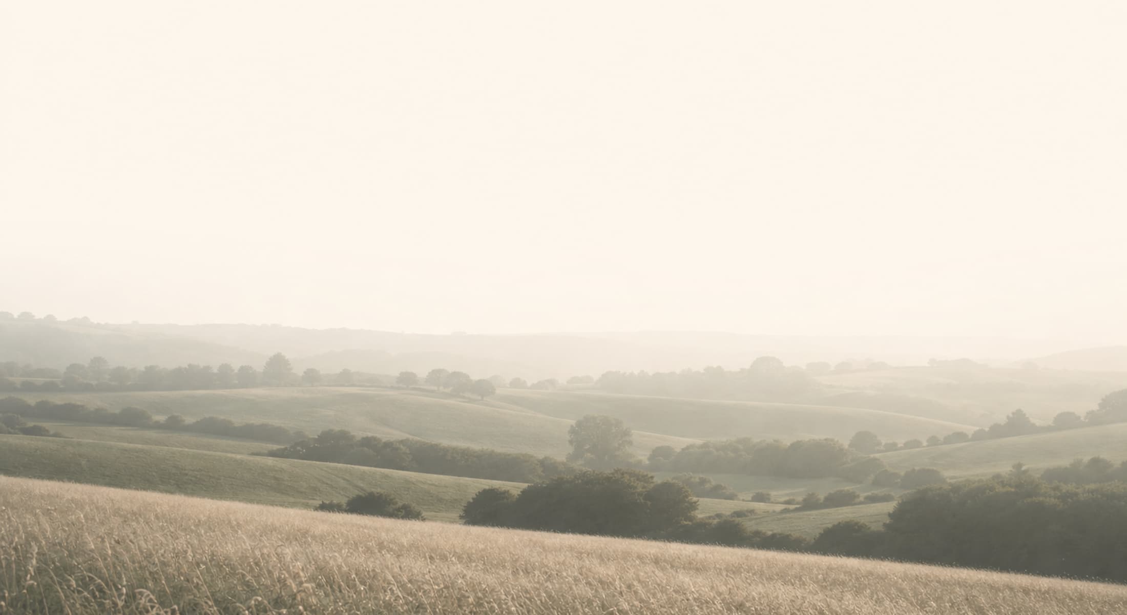 UK river and wetland landscape supported through conservation work